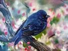 Petill�n azul, Sally Fallas Salazar, �leo/lienzo