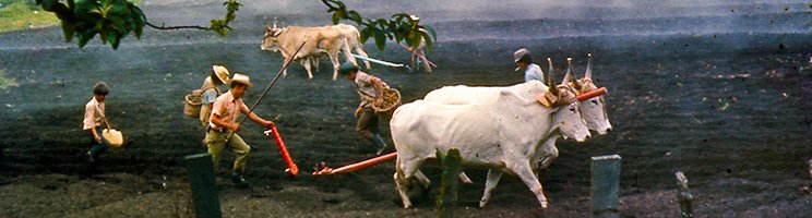 Pacayas, 1963. autor Rodolfo Carrillo A